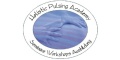 http://www.holistic-pulsing-academy.eu